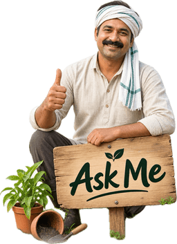 WhatsApp Support